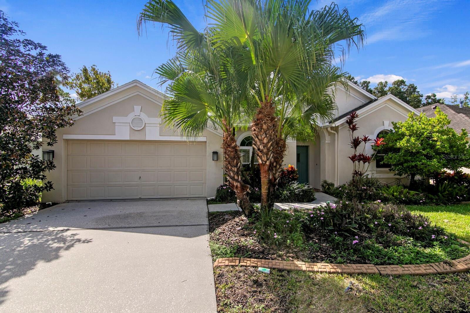12304 Wycliff Pl, Tampa, FL 33626 photo