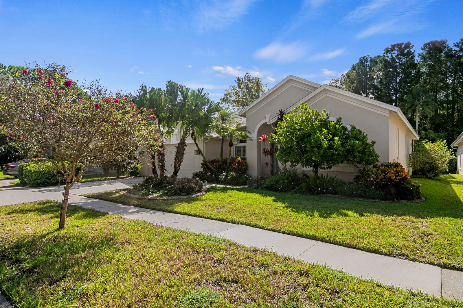 12304 Wycliff Pl, Tampa, FL 33626 photo