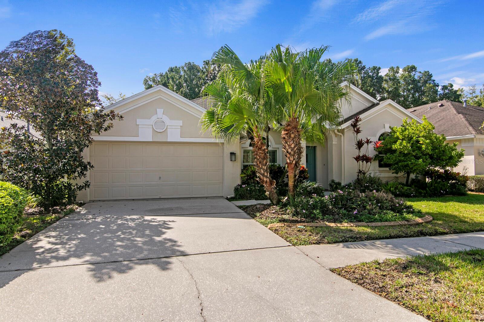 12304 Wycliff Pl, Tampa, FL 33626 photo