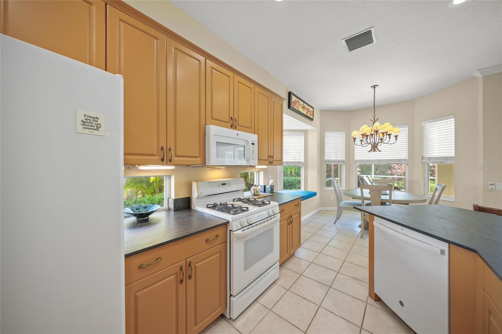 6923 Lennox Pl, University Park, FL 34201 photo