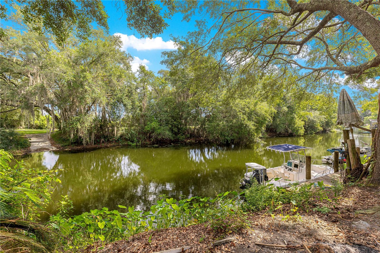 11547 SE 123 St, Belleview, FL 34420 photo