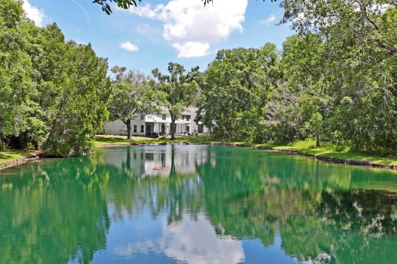 12742 Wood Trail Boulevard Blvd, Tampa, FL 33625 photo