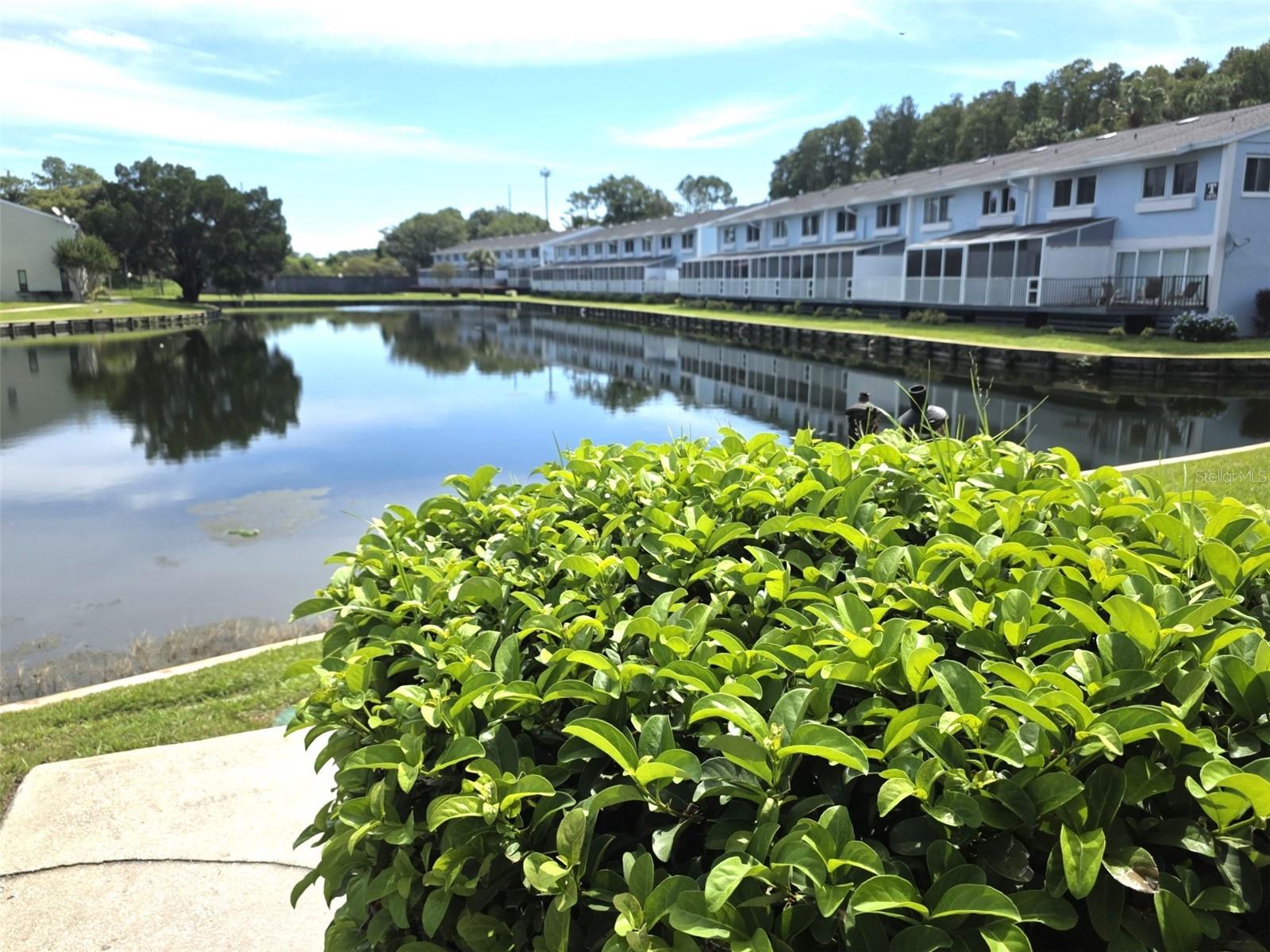 1778 Samurai Pt, Lutz, FL 33558