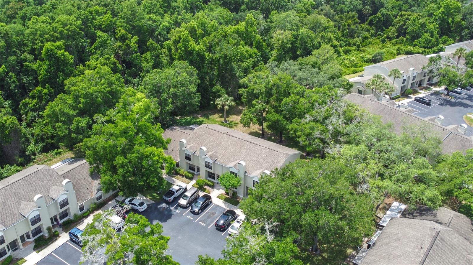5100 Burchette Rd #2505, Tampa, FL 33647 photo