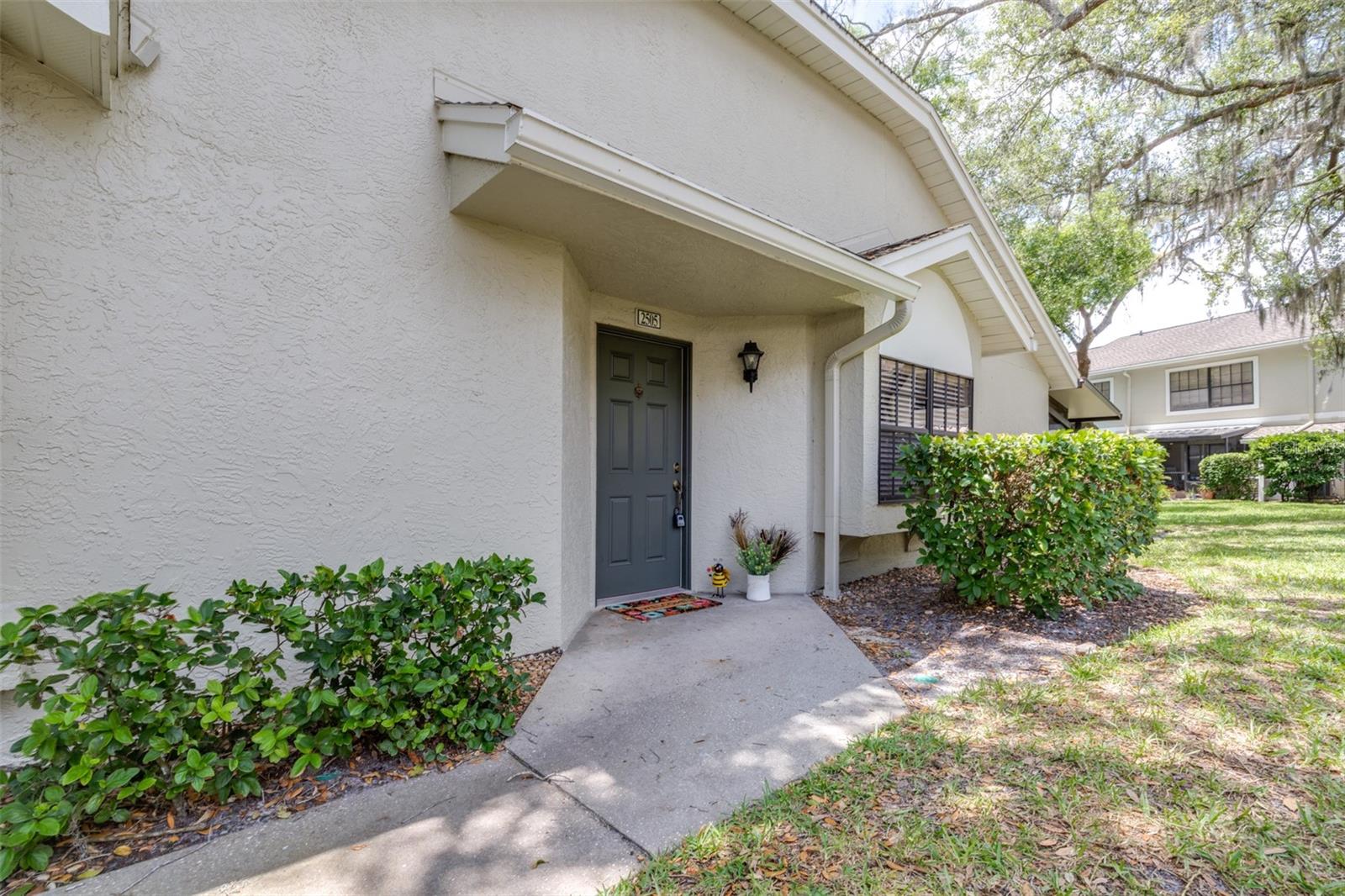 5100 Burchette Rd #2505, Tampa, FL 33647 photo