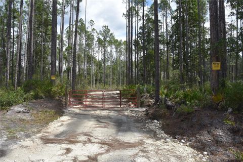  in FORT MC COY FL NE 130TH AVE.jpg