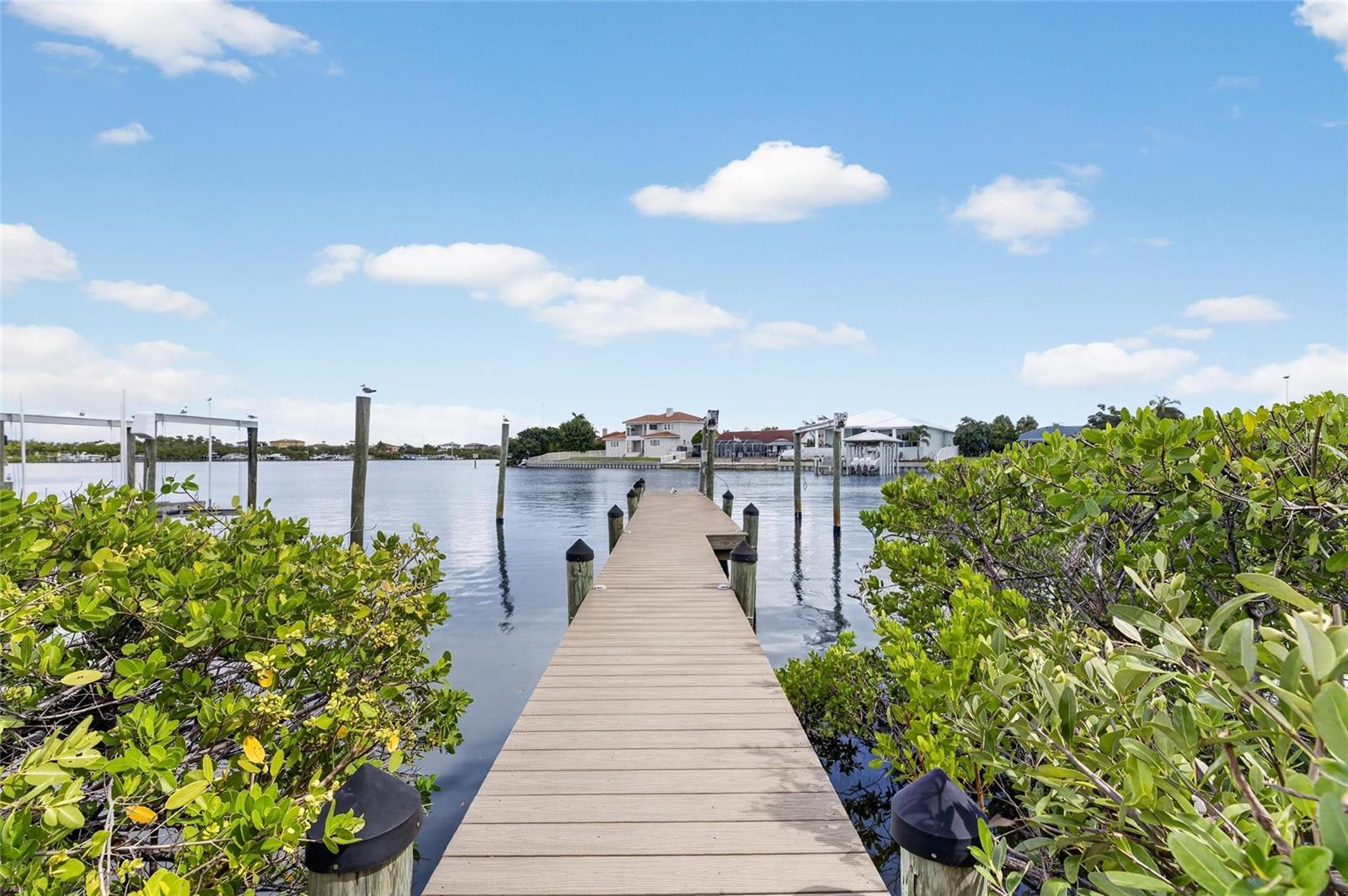 1231 Acappella Ln, Apollo Beach, FL 33572 photo