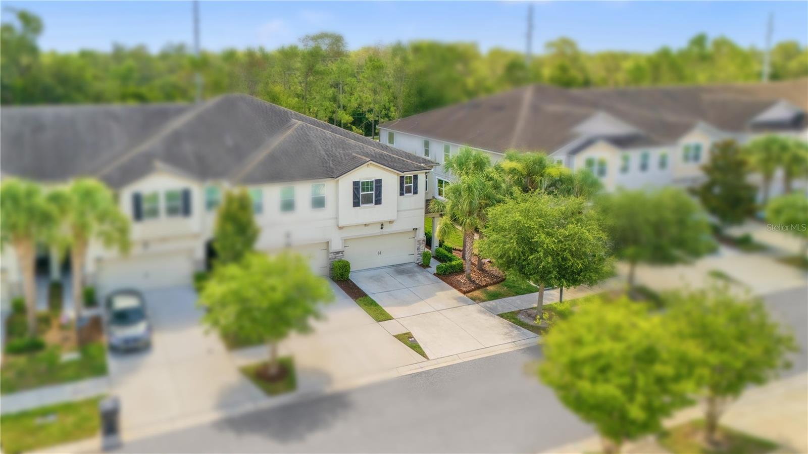 10316 Holstein Edge Pl, Riverview, FL 33569 photo