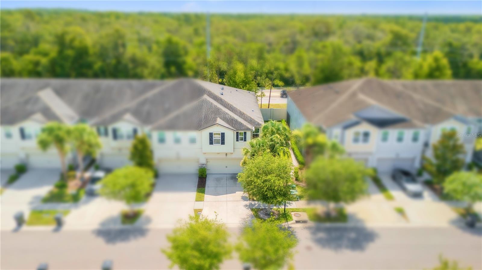 10316 Holstein Edge Pl, Riverview, FL 33569 photo