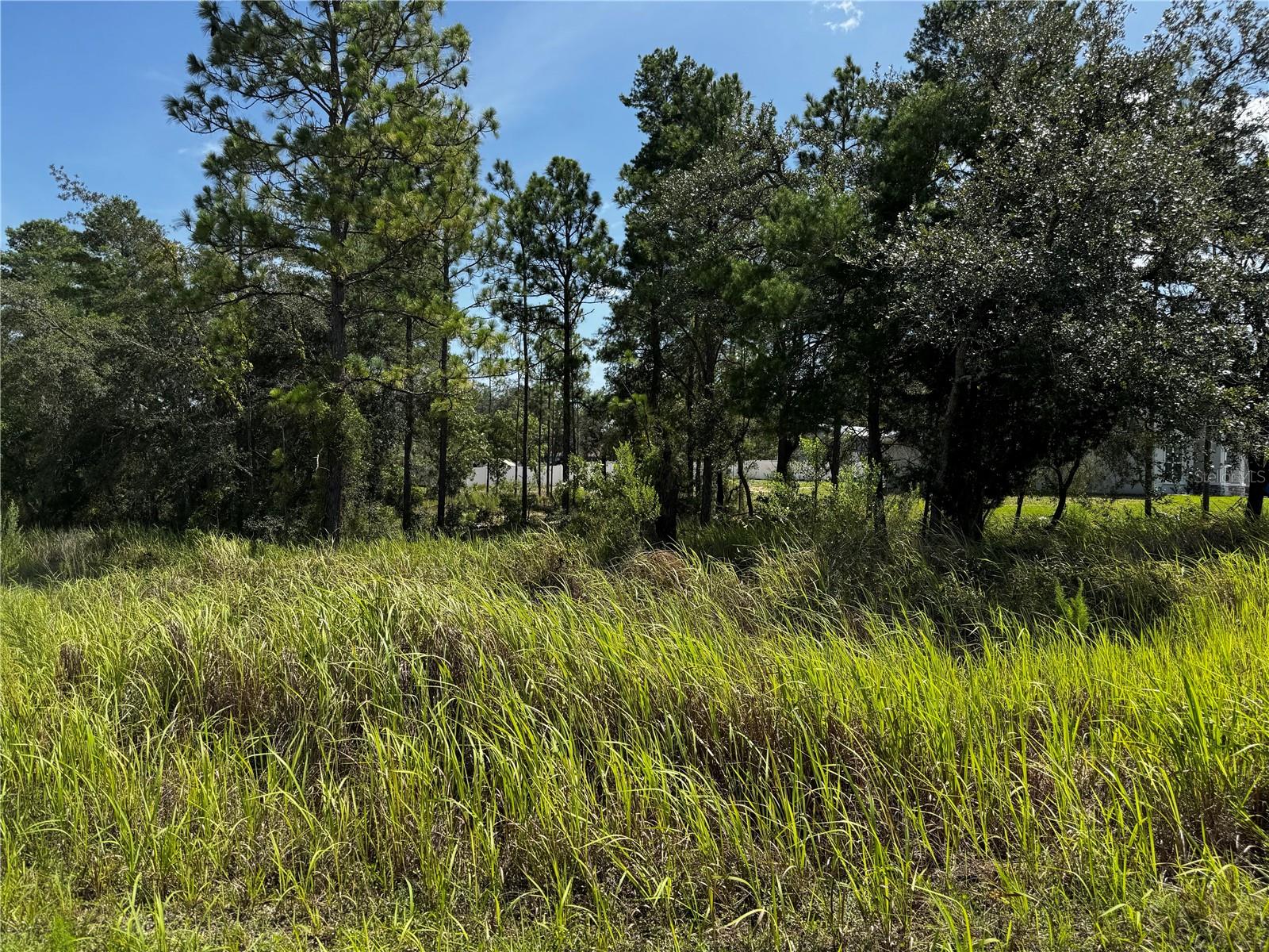 14 Barnevelde Rd, Weeki Wachee, FL 34614