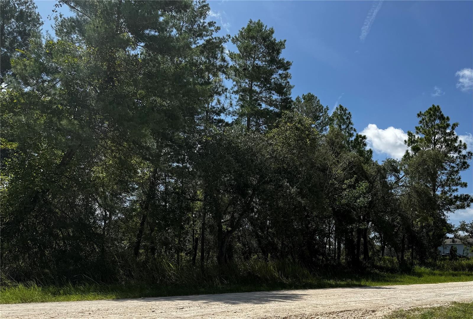 14 Barnevelde Rd #LOT, Weeki Wachee, FL 34614 photo