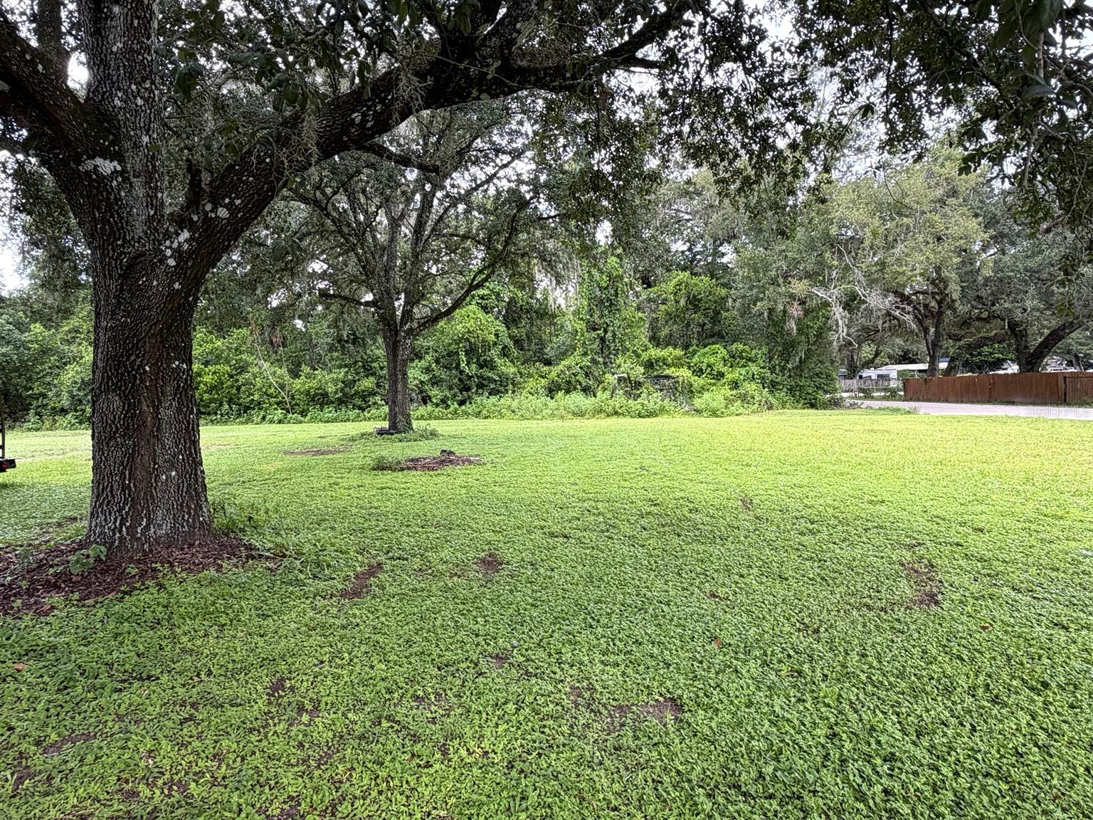 36910 Sunshine Rd, Zephyrhills, FL 33541 photo