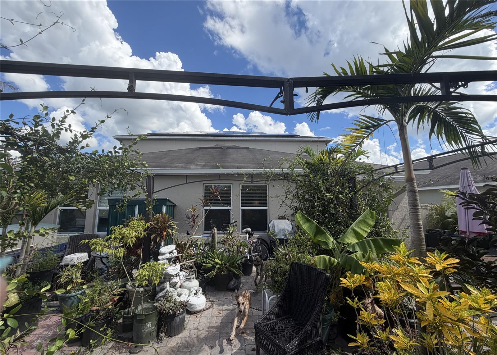 17103 White Mangrove Dr, Wimauma, FL 33598 photo