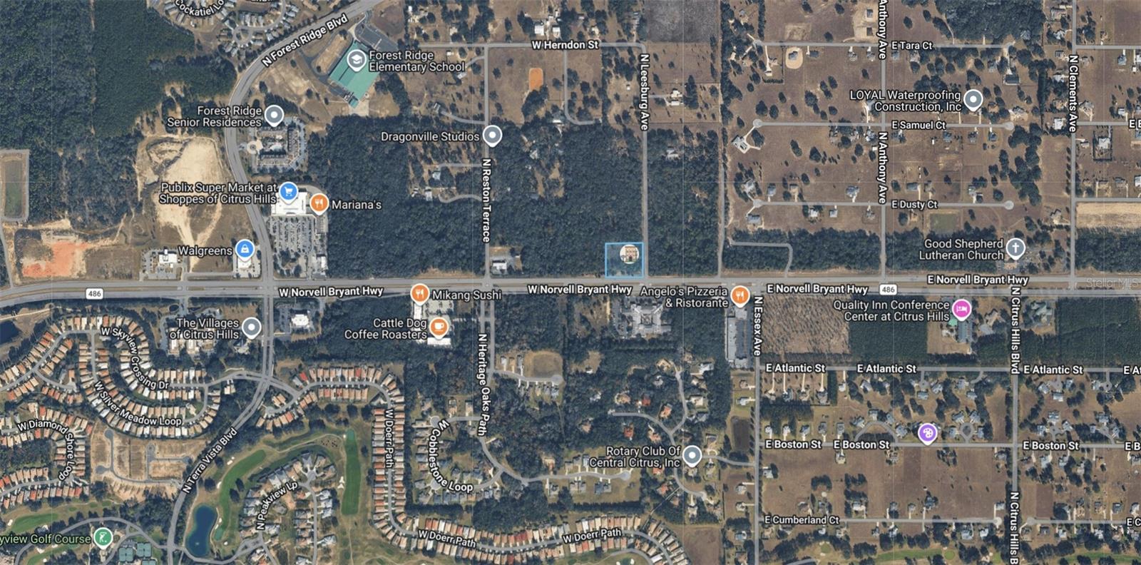 161 W Norvell Bryant Hwy, Hernando, FL 34442 photo