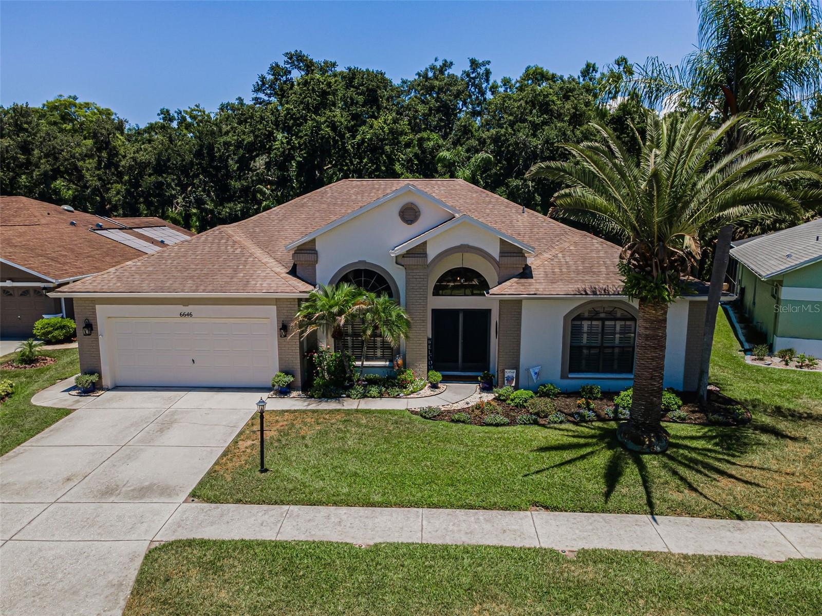 6646 Garden Palm Ct, New Port Richey, FL 34655 photo