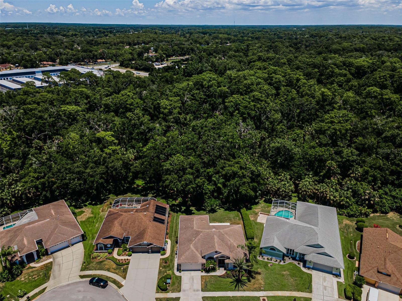 6646 Garden Palm Ct, New Port Richey, FL 34655 photo