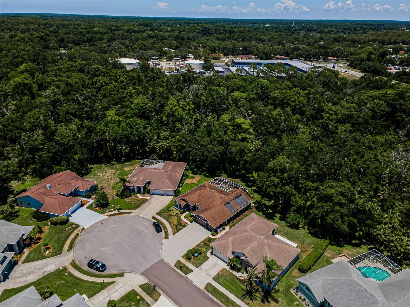 6646 Garden Palm Ct, New Port Richey, FL 34655 photo