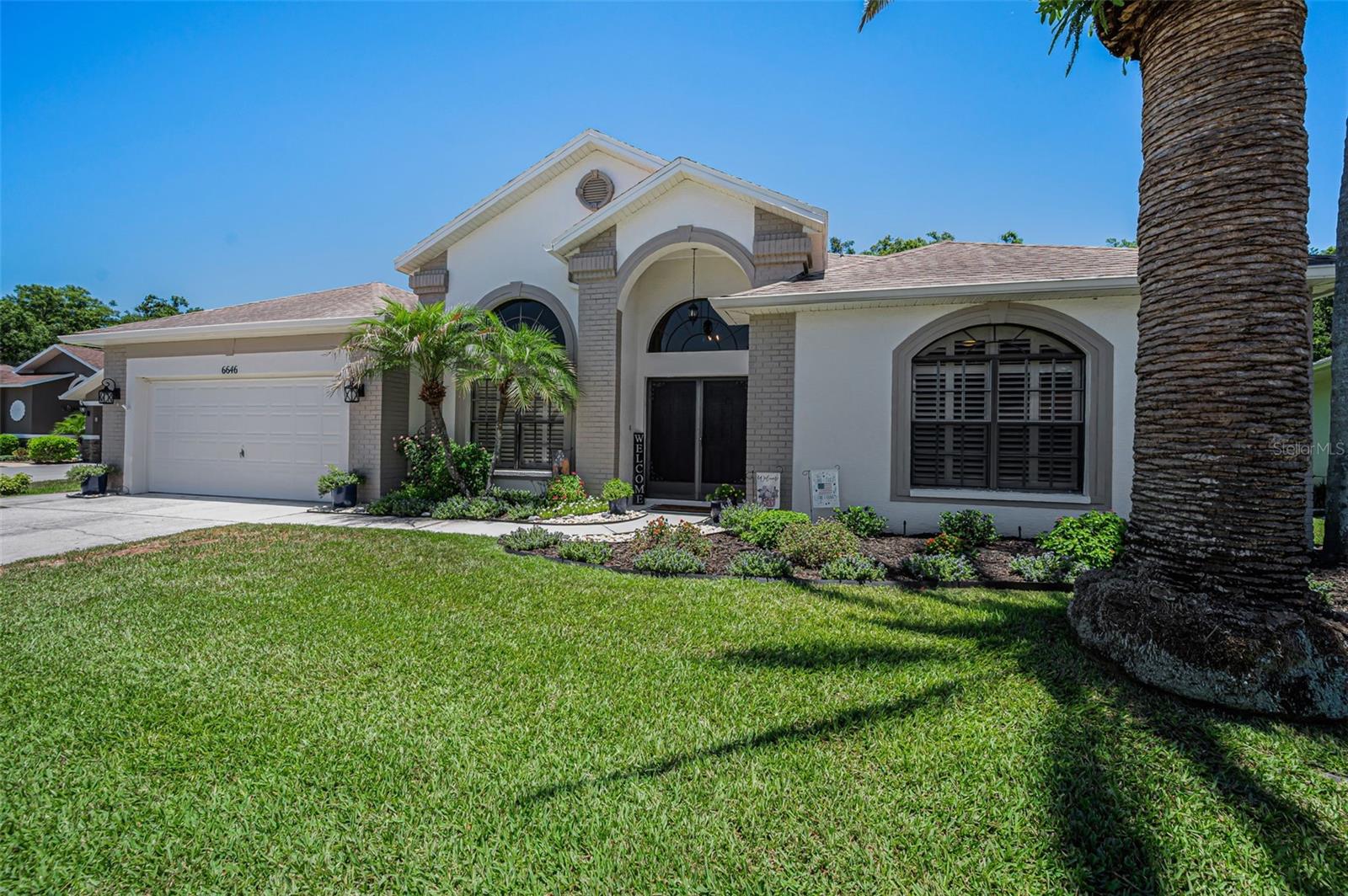 6646 Garden Palm Ct, New Port Richey, FL 34655 photo