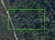 1528 Hackberry Ave, Avon Park, FL 33825