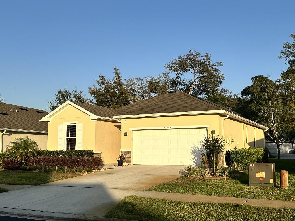 11248 Mollymawk Ct, New Port Richey, FL 34654 photo