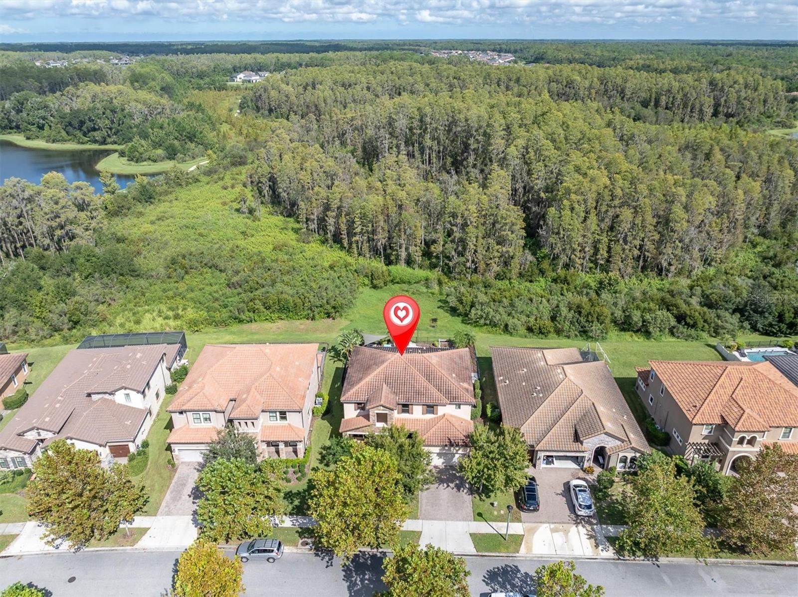 12813 Berrypick Trl, Odessa, FL 33556 photo