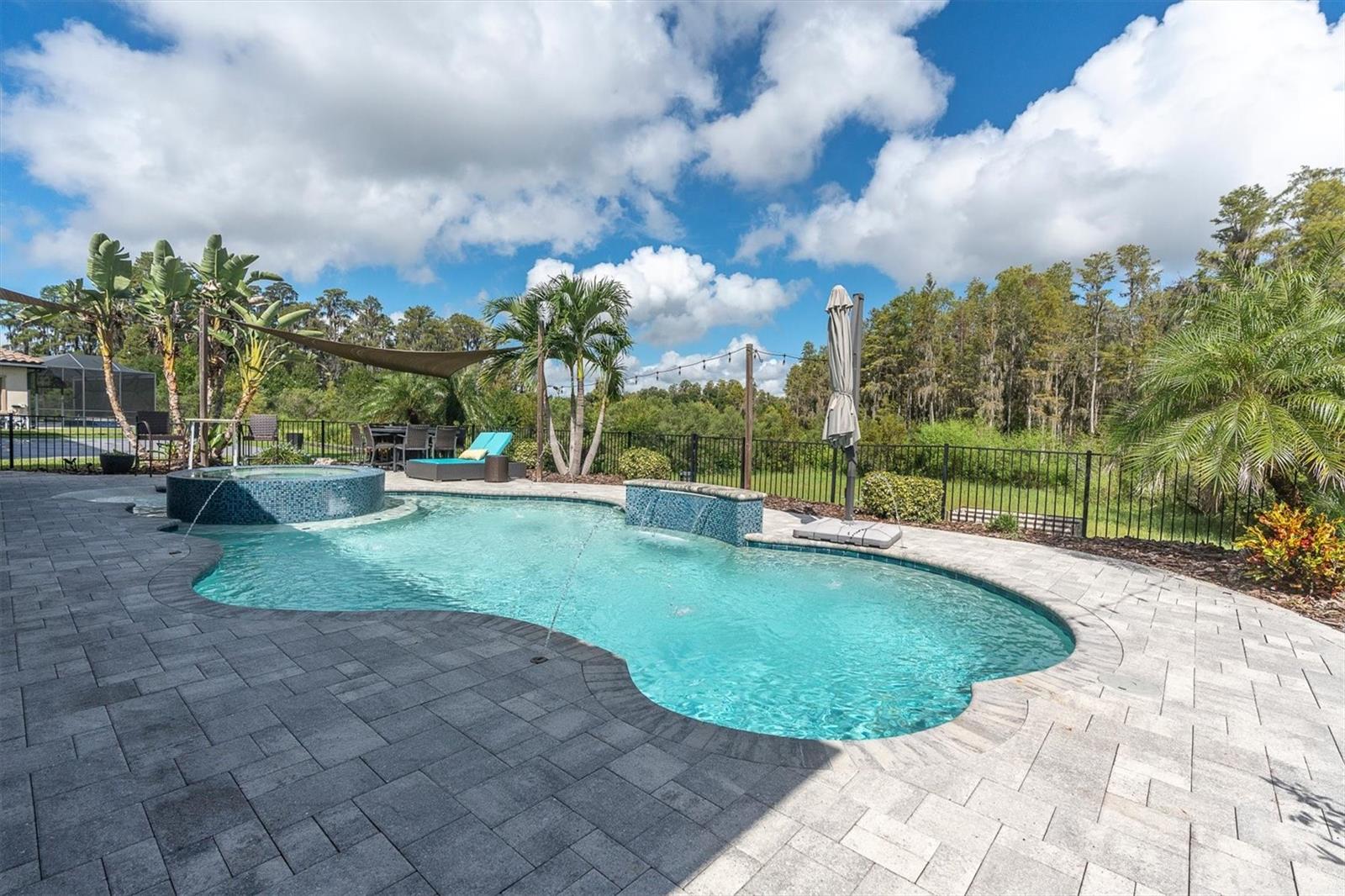 12813 Berrypick Trl, Odessa, FL 33556 photo