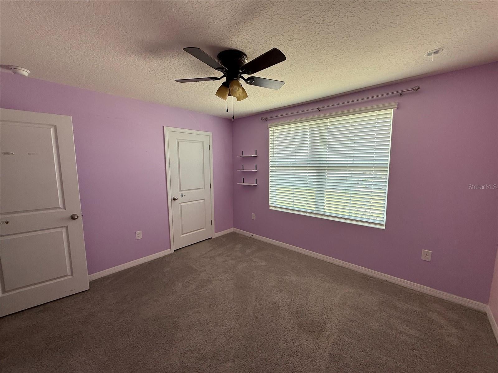 7499 Sail Clover Ln, Zephyrhills, FL 33540 photo