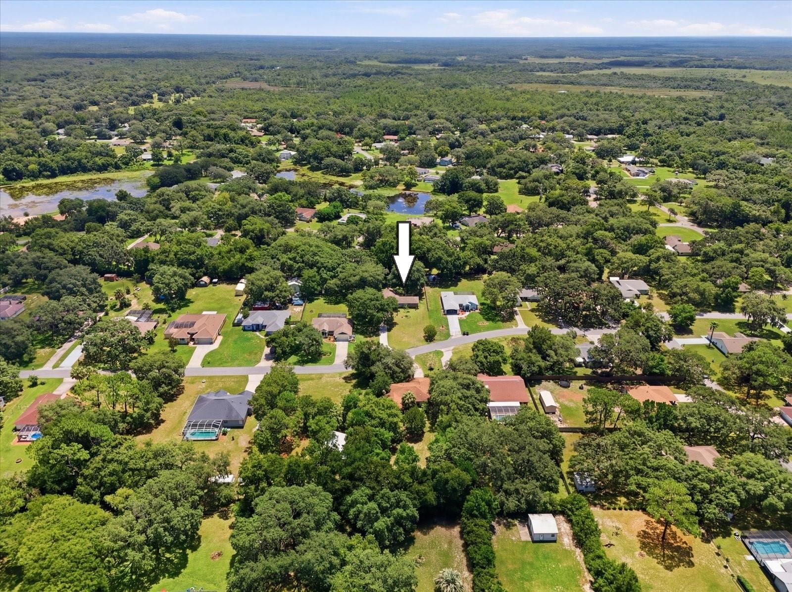 3103 S Bay Berry Pt, Inverness, FL 34450 photo