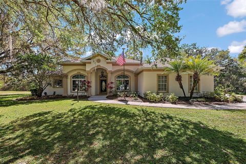 Single Family Residence in OKAHUMPKA FL 5100 BANANA POINT DRIVE.jpg