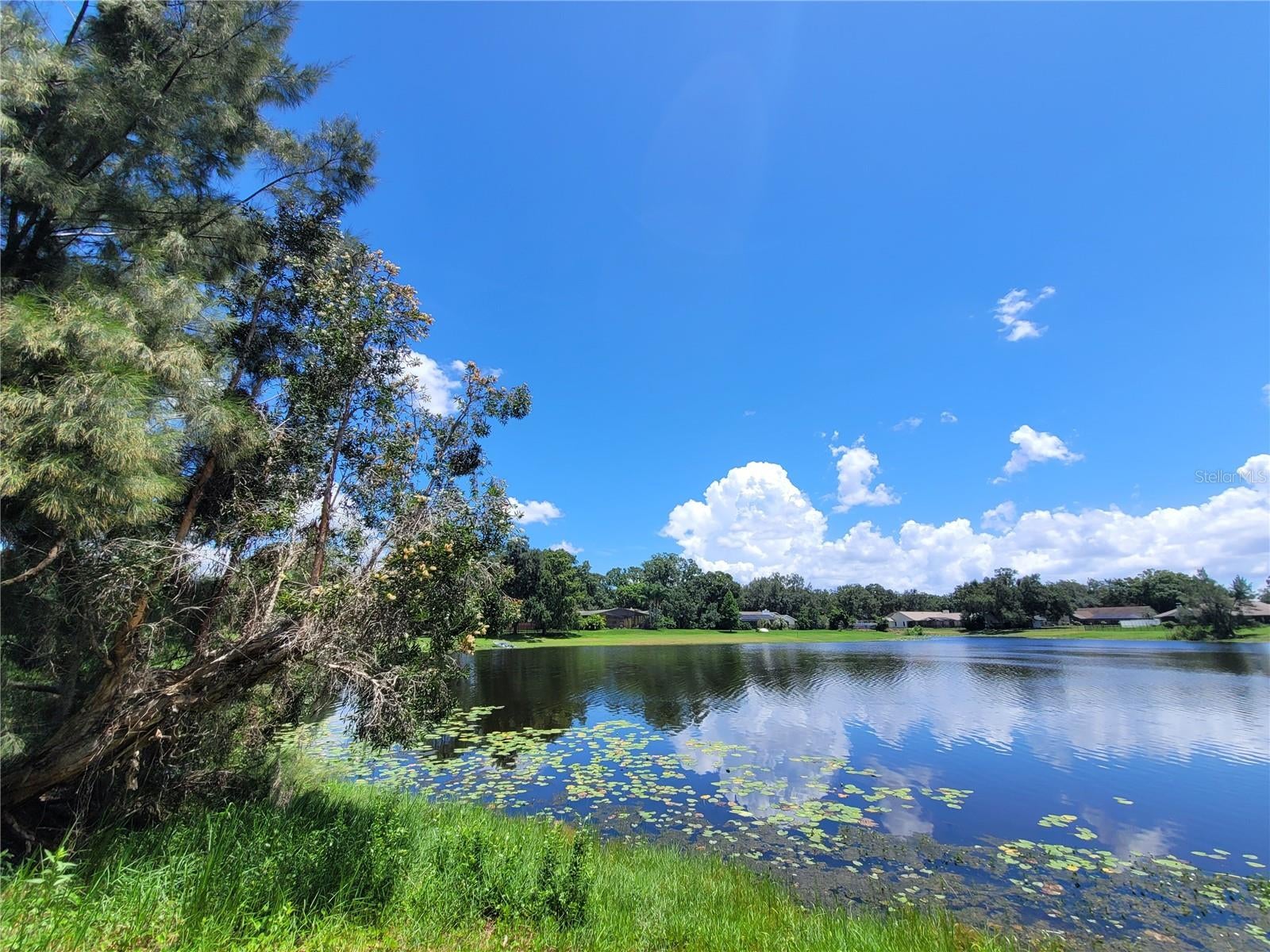 708 Warren Rd, Lutz, FL 33548 photo