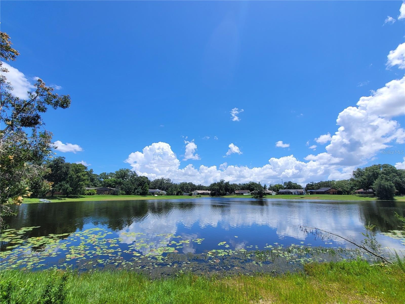 708 Warren Rd, Lutz, FL 33548