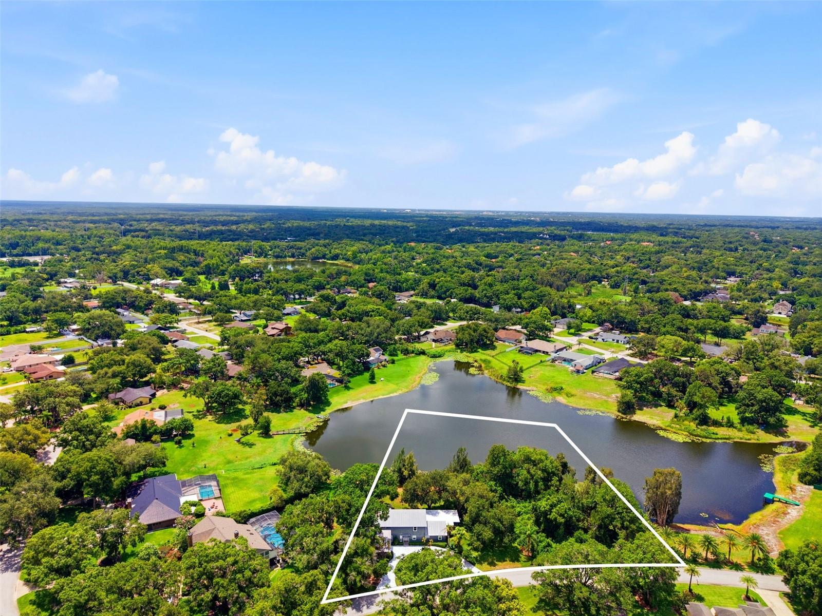 708 Warren Rd, Lutz, FL 33548 photo