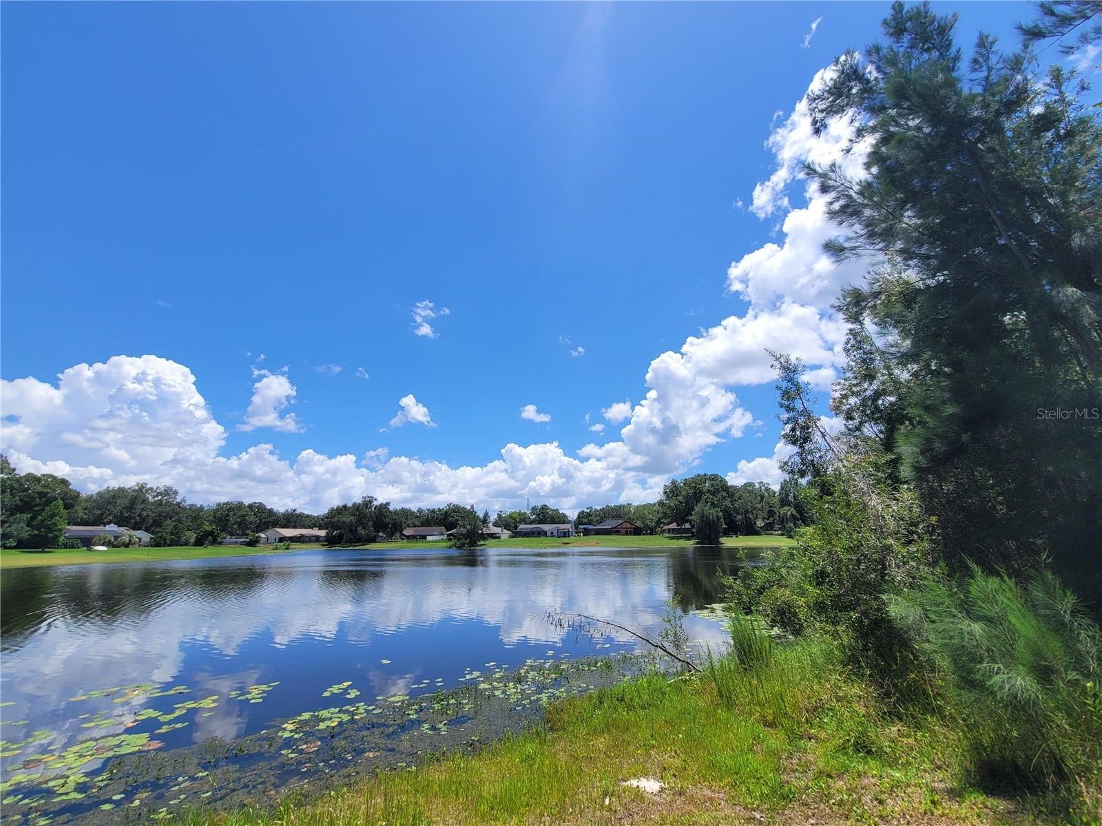 708 Warren Rd, Lutz, FL 33548 photo