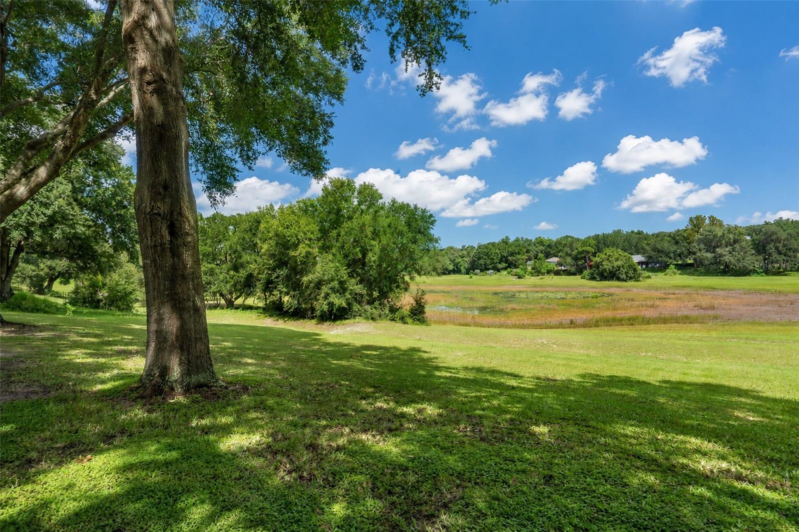 1326 Oak Valley Blvd, Minneola, FL 34715 photo