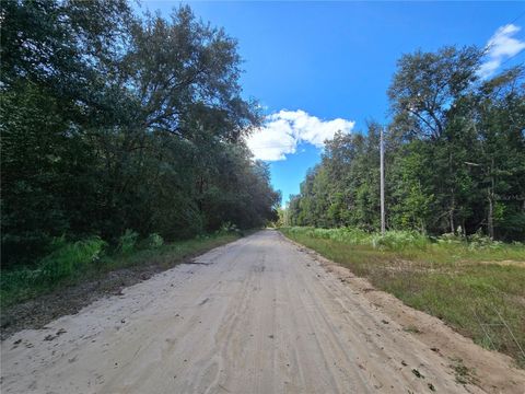  in INTERLACHEN FL HUGH STREET 6.jpg