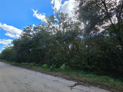  in INTERLACHEN FL HUGH STREET 7.jpg