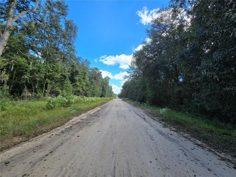  in INTERLACHEN FL HUGH STREET 12.jpg