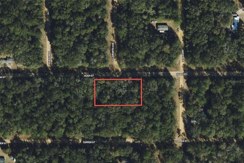  in INTERLACHEN FL HUGH STREET 1.jpg