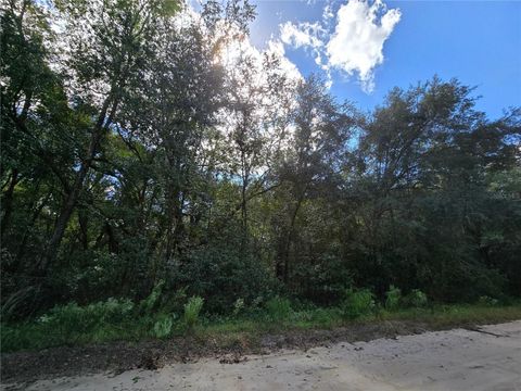  in INTERLACHEN FL HUGH STREET 9.jpg