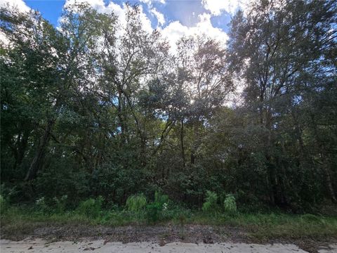  in INTERLACHEN FL HUGH STREET.jpg