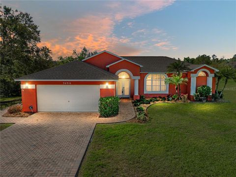 Single Family Residence in DADE CITY FL 36916 LAKE PASADENA ROAD.jpg