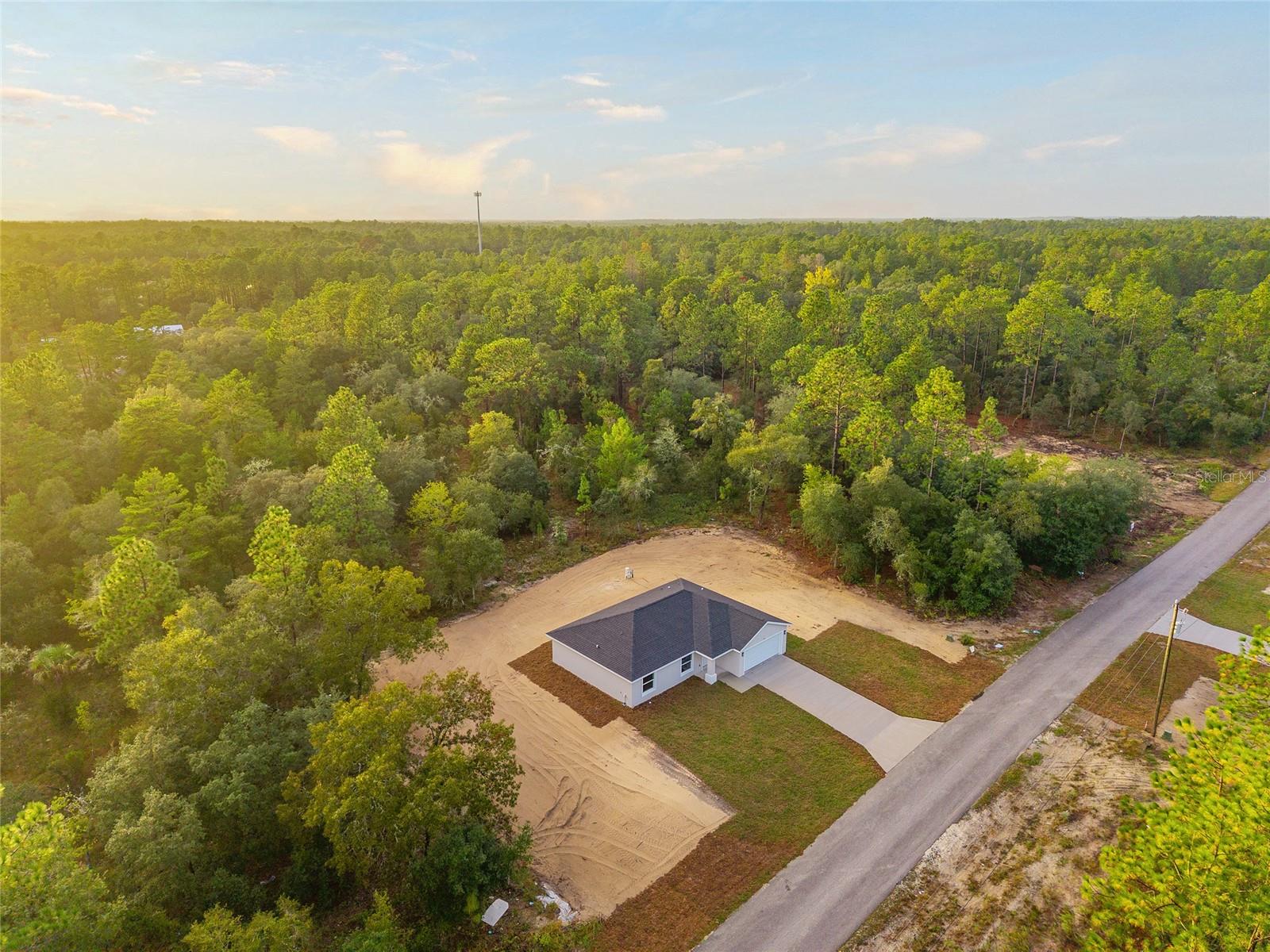 2892 SW Harbor Hills Rd, Dunnellon, FL 34431 photo
