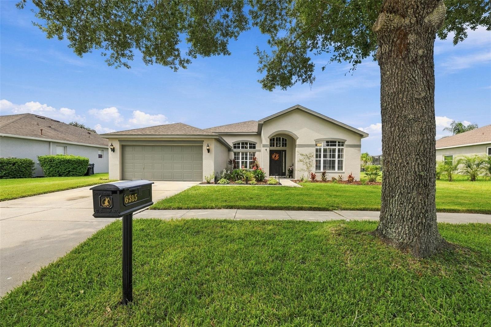 6315 Bridgevista Dr, Lithia, FL 33547