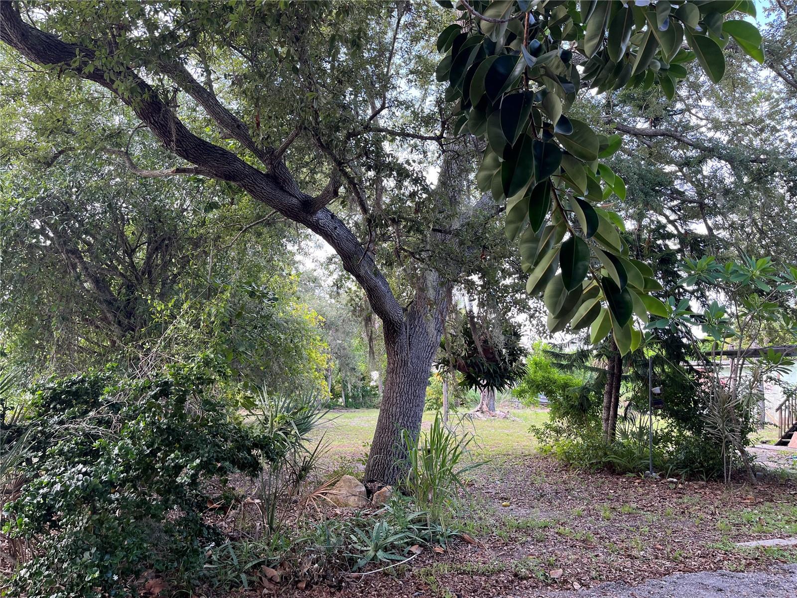 903 Anderson Rd, Nokomis, FL 34275 photo