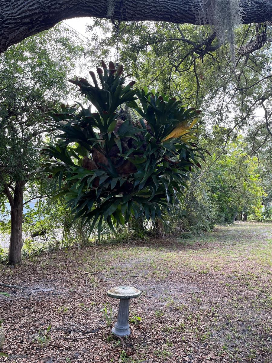 903 Anderson Rd, Nokomis, FL 34275 photo