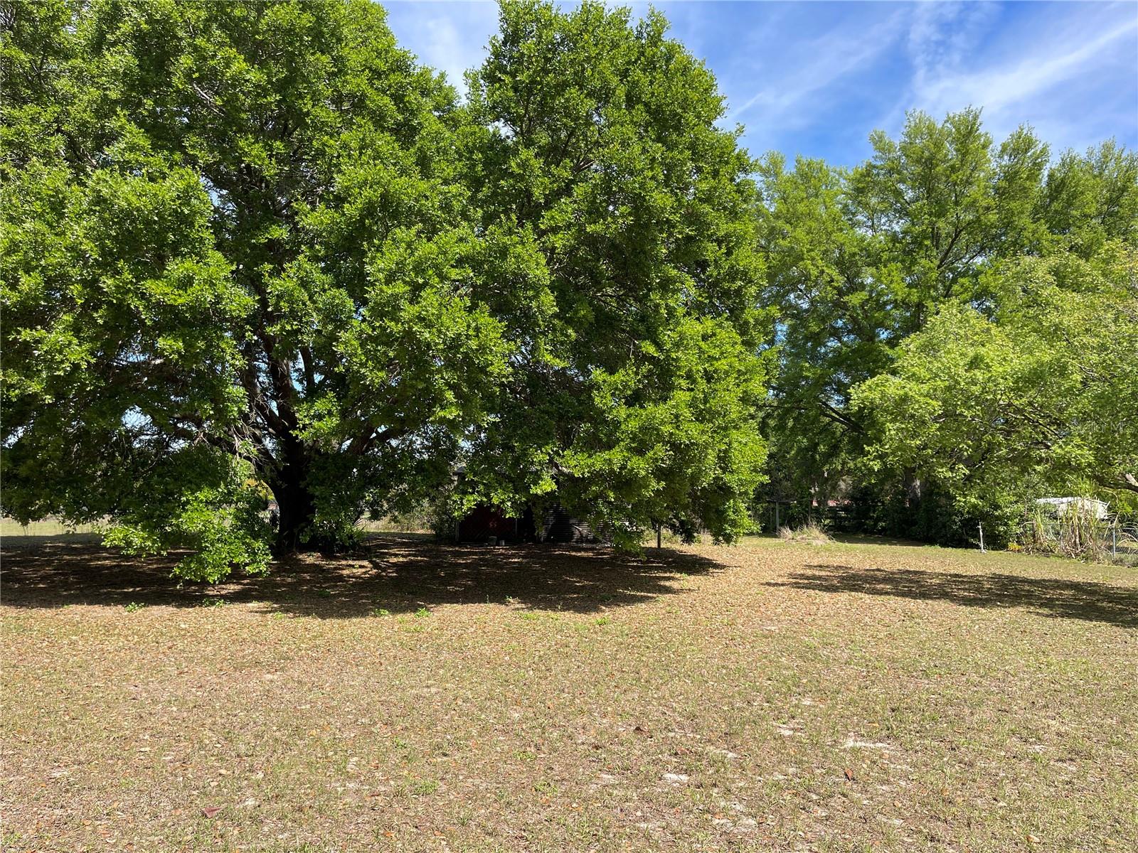 15121 SE 175 St, Weirsdale, FL 32195 photo