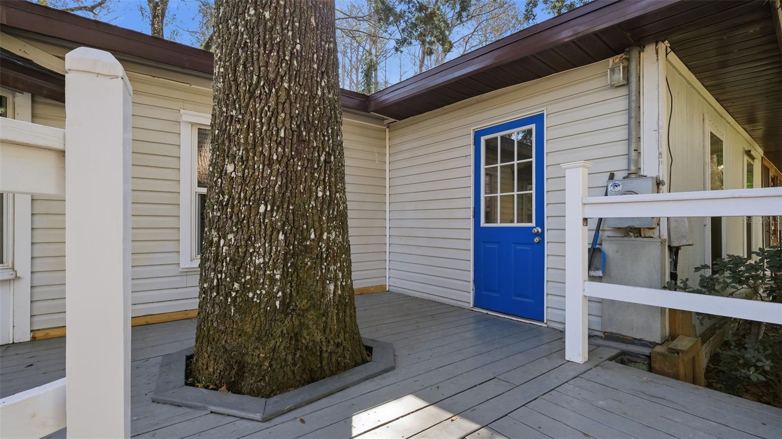 10565 Bessemer St, New Port Richey, FL 34654 photo