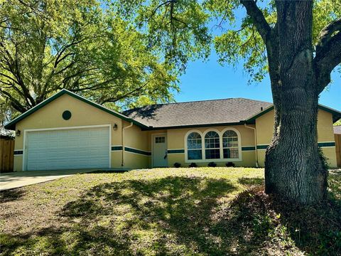 Single Family Residence in FRUITLAND PARK FL 3548 PICCIOLA CUTOFF ROAD.jpg