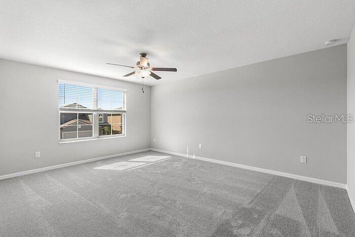7222 Ronnie Garden Ct, Tampa, FL 33619 photo