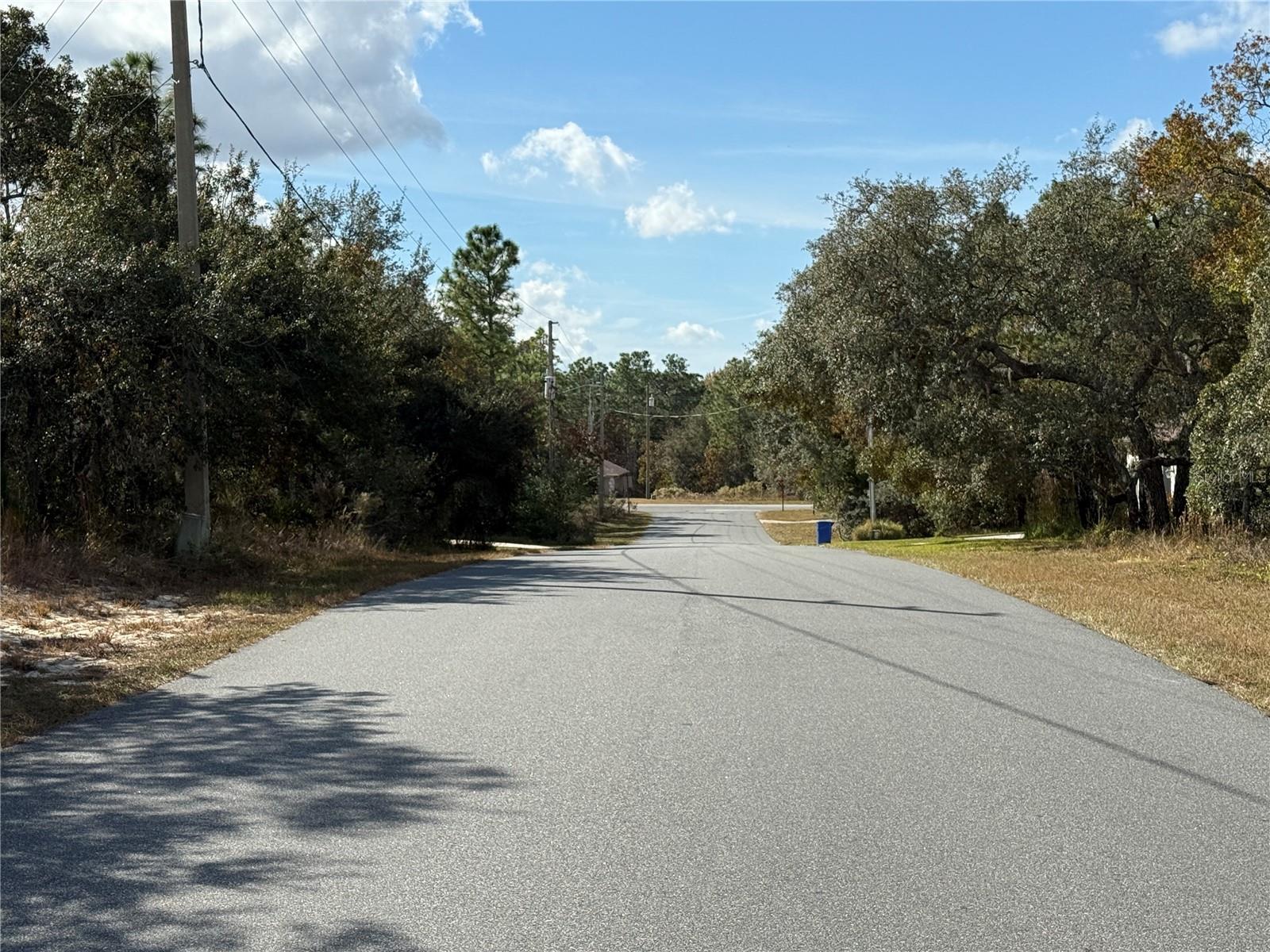 220 Linder Dr, Homosassa, FL 34446 photo